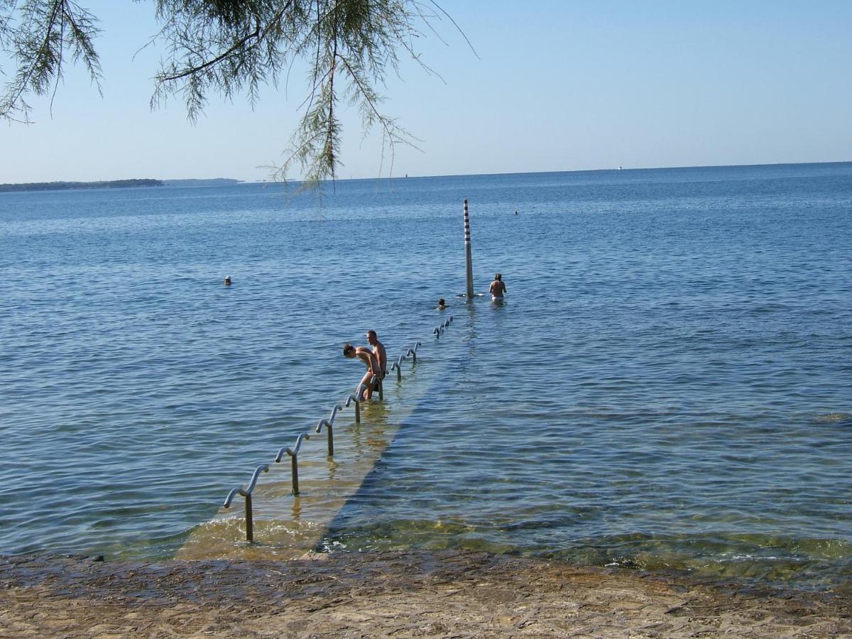 Elena, 100 M From The Beach Novigrad Istria Dış mekan fotoğraf