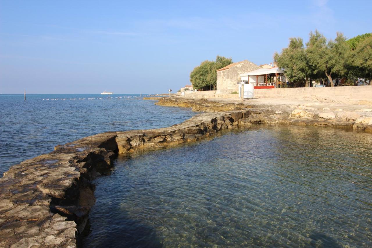 Elena, 100 M From The Beach Novigrad Istria Dış mekan fotoğraf