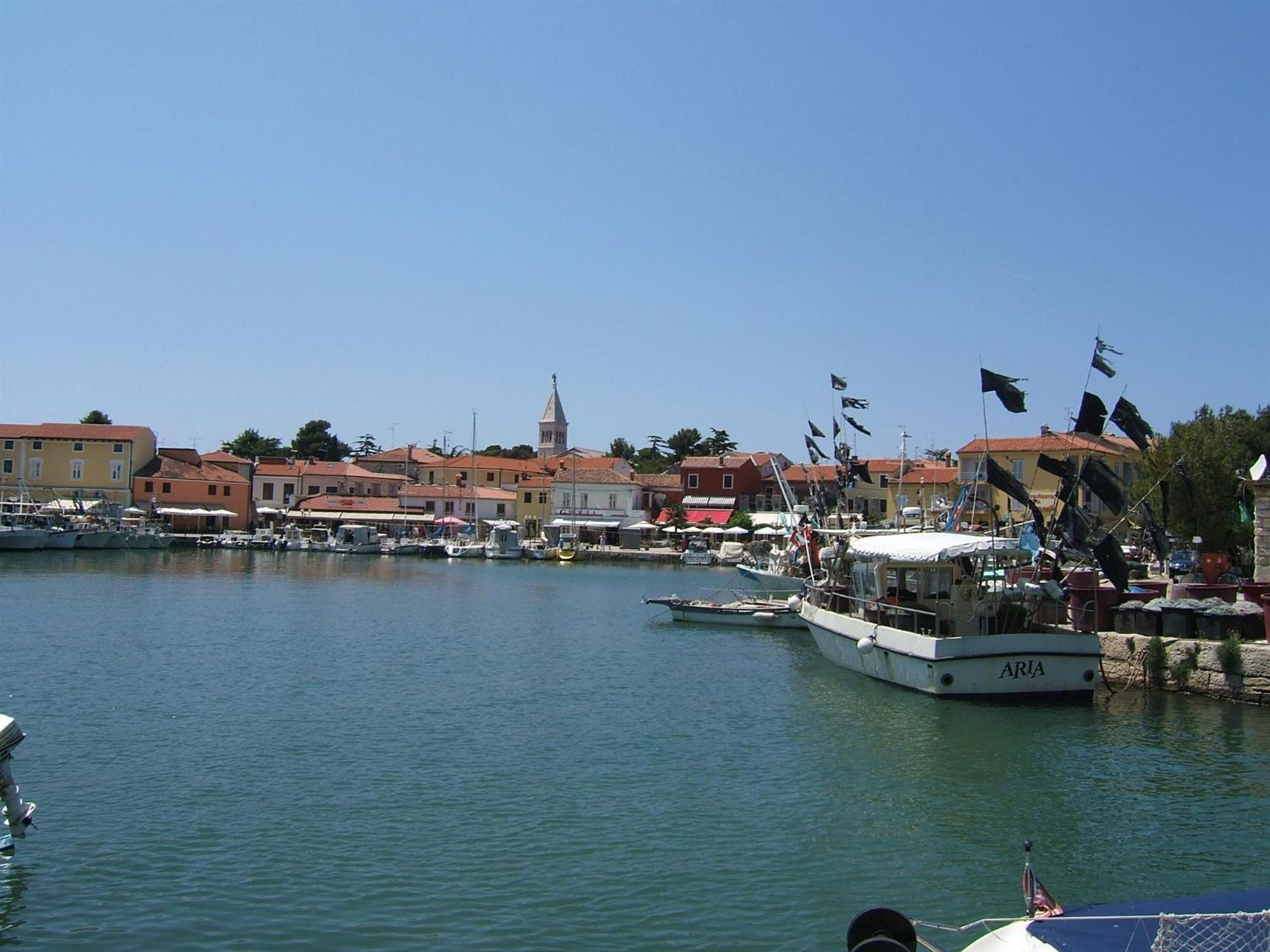 Elena, 100 M From The Beach Novigrad Istria Dış mekan fotoğraf